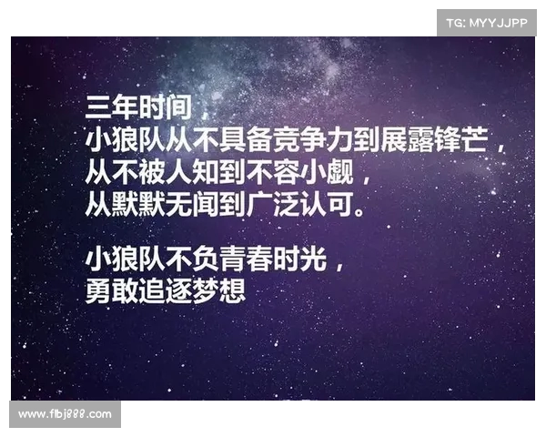 狼队崛起：从默默无闻到英超强者的传奇之路